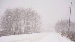 Сахалин переживает циклон: снег, сильный ветер и дорожные ограничения