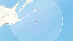  Землетрясение магнитудой 4,5 произошло у берегов Южных Курил