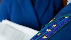 Прокуратура проверит сахалинский парк после смертельного инцидента