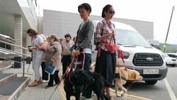 Инвалидов по зрению c собаками-проводниками финансово поддержат на Сахалине