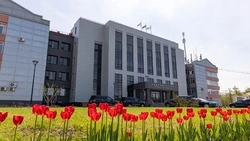 Жители Южно-Сахалинска могут поделиться мнением о городе в специальной анкете 