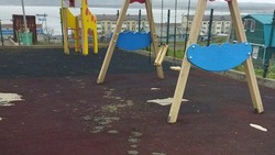 Стадо коров оставило фекальные следы на детской площадке в Южно-Курильске