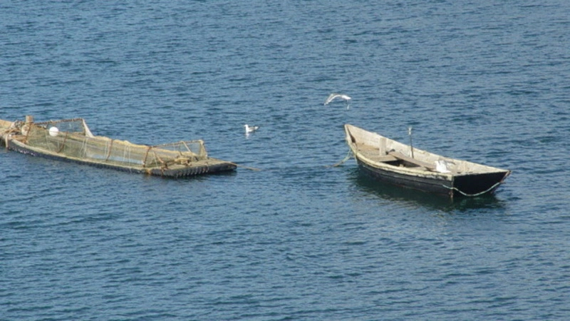 Сахалинцам грозит 5 лет тюрьмы за браконьерство в заповеднике