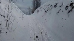 Мать оставила двоих детей замерзать в овраге на юго-востоке России