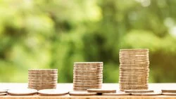 На Сахалине одна из самых высоких сельских зарплат в стране