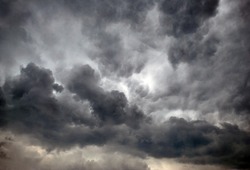 Дожди и сильный ветер придут в Сахалинскую область: прогноз на 5 августа