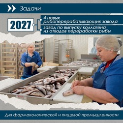 /attachments/14a214237d19bd5e7dd5b2ed19ed981189b0bc05/store/crop/0/0/1080/1080/800/0/0/0/ba616f736e58589d7caf59b6da7ce185fc10ac590529aed2ba493eda5075/ba616f736e58589d7caf59b6da7ce185fc10ac590529aed2ba493eda5075.jpeg.jpg