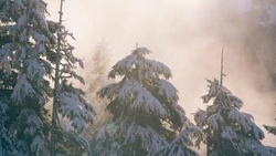 Снег и повышение температуры: прогноз погоды в Сахалинской области на неделю