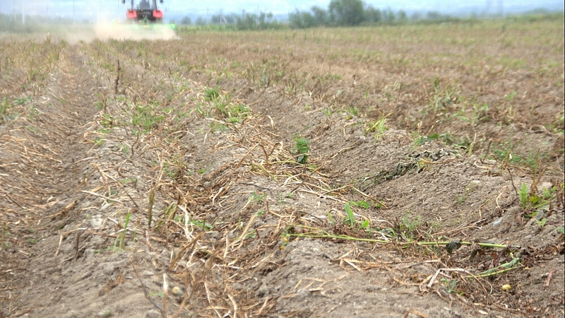 Почти тысяча получателей «дв-гектаров» воспользовалась мерами господдержки