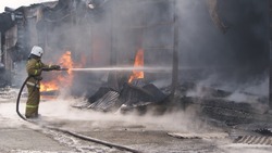 Заброшенный ангар в Тымовском охватило пламя