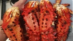 «Пришлите хоть одну клешню»: сезон зимней рыбалки на краба открыли на Сахалине