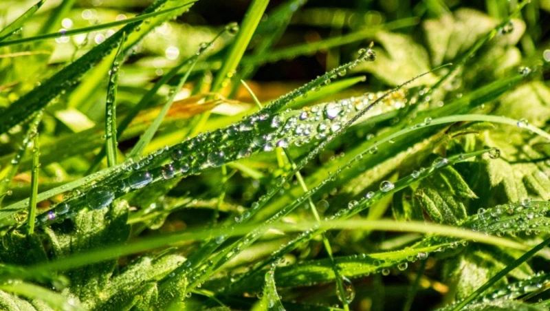 Церковный праздник 25 июля 2025: что нельзя делать в этот день, приметы