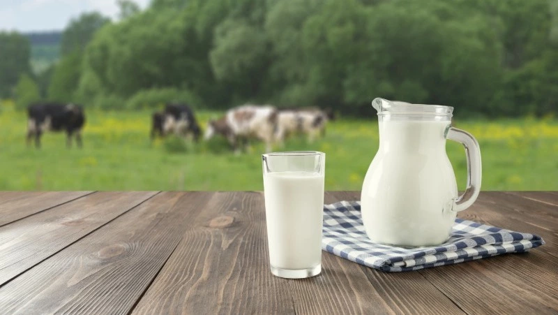 Церковный праздник 26 июня 2025: что нельзя делать в этот день, приметы