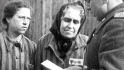 «На что способен нацизм»: депутат Госдумы призвал пообщаться с узниками концлагерей