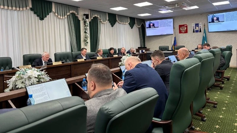 Взвешенные меры: сахалинские депутаты приняли новый закон по отлову и содержанию бездомных псов