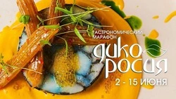 «Дикоросия-2025» приглашает выбрать фаворитов марафона с 2 по 15 июня на Сахалине и Курилах