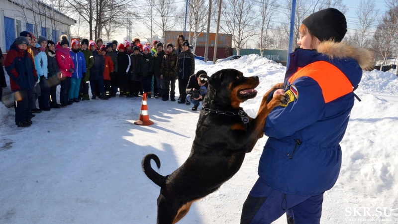 Школьников Южно-Сахалинска покатали на «Лосе»