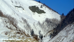 В пяти районах Сахалина возможен сход лавин