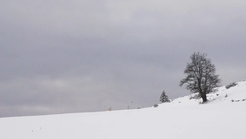 Прогноз погоды на Сахалине и Курилах 2 декабря: снег, ветер и гололедица