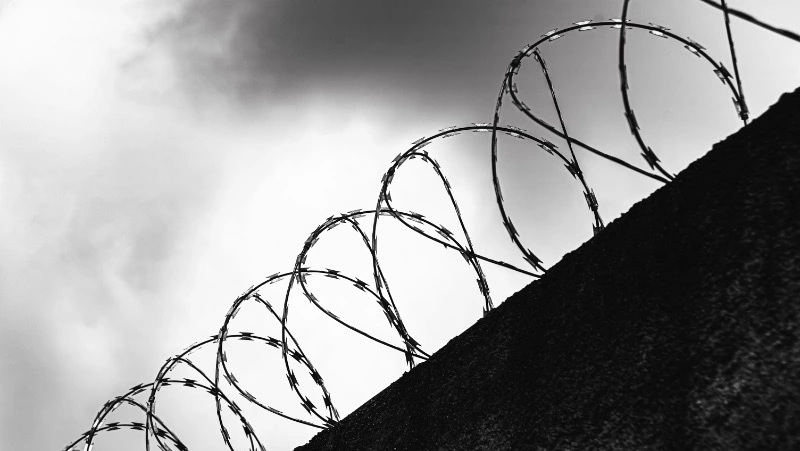 В Госдуму внесли законопроект об объявлении амнистии для женщин ко Дню матери 