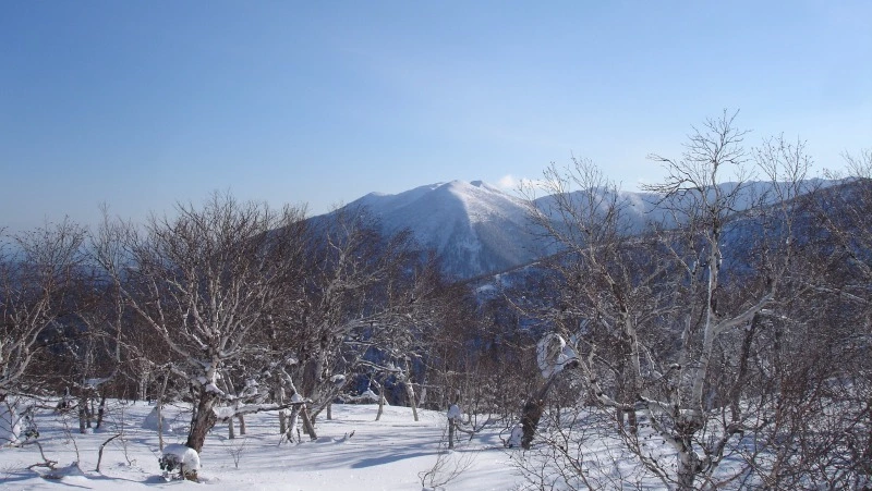 На борту вертолета Robinson находилась семейная пара, путешествующая по Сахалину