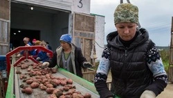 Горячая страда