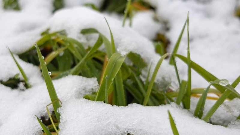 Облачную погоду и снег спрогнозировали синоптики в Южно-Сахалинске 3 апреля
