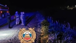 Водитель Suzuki Escudo устроил ДТП с пострадавшей на трассе Корсаков — Новиково