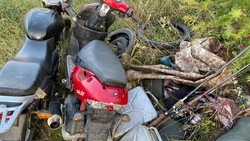 Жителя Томаринского района поймали на дачной краже в Макаровском районе