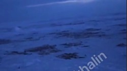 «За такое садить надо»: рыбаки побросали на льду тонны наваги в Стародубском