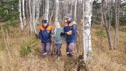 Спасатели нашли пропавшую в лесу 85-летнюю пенсионерку с деменцией 