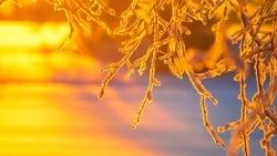 Солнечно и без осадков будет в Южно-Сахалинске 2 января