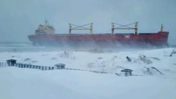 Прокуратура и следком заинтересовались ЧП с китайским судном у Сахалина