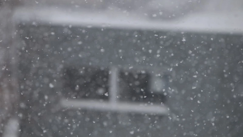 Облачно и холодно: погода в Южно-Сахалинске 23 ноября 