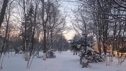 День без снега спрогнозировали в Южно-Сахалинске 2 декабря