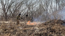 Сухая трава на площади 3000 квадратных метров вспыхнула в Анивском районе 15 мая