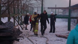 Пожар в приюте для бездомных животных на Сахалине: грустные кадры