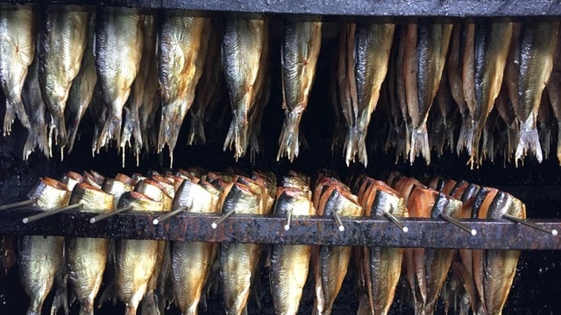 В России продолжает падать цена на рыбу. Список