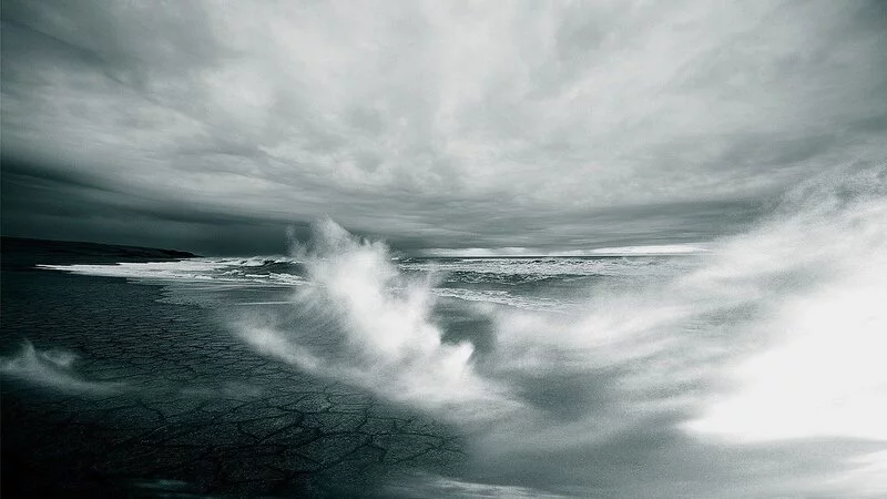 Японцы не сдержали эмоций из-за фильма про Курилы