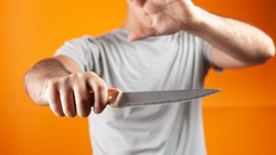 Бастрыкин взял на контроль инцидент с ножом в детском саду Долинска