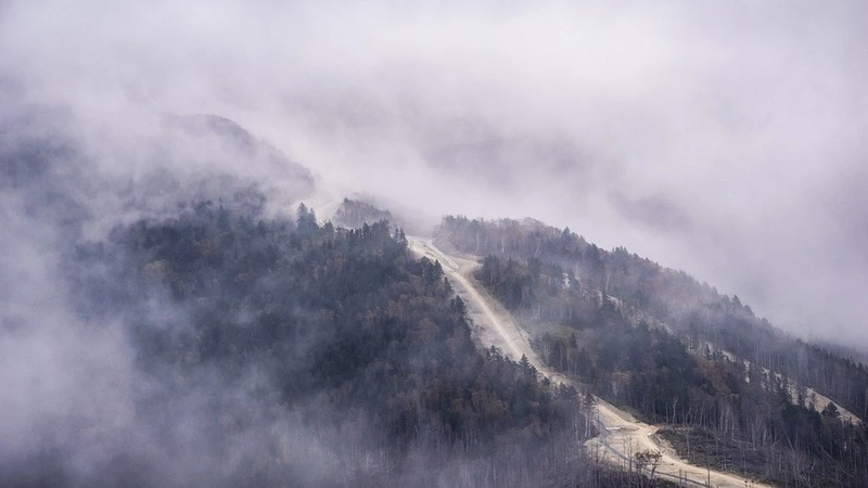 Штормовой ветер и осадки: циклон сместится в центр и на север Сахалина