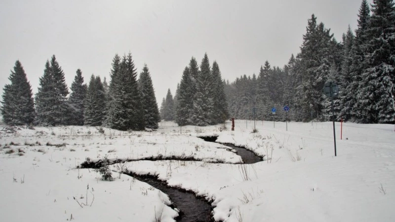Пасмурно, ветрено: прогноз погоды на Сахалине и Курилах 4 марта