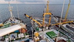 Наибольший объем молоди тихоокеанских лососей по ДФО вырастили на Сахалине