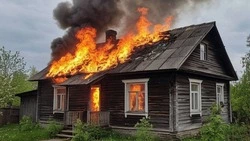 Пожарные больше трех часов тушили жилой дом в сахалинском селе