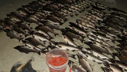 Сотрудники рыбоохраны задержали двоих браконьеров в Охинском районе 