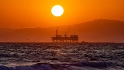 СМИ: иностранцев с сахалинских проектов заменят российскими специалистами