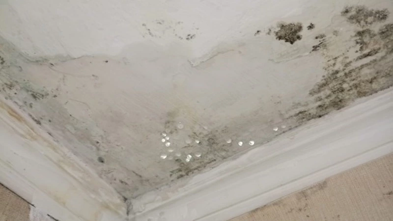 Жители многоквартирного дома в Южно-Сахалинске пожаловались на невыносимые условия