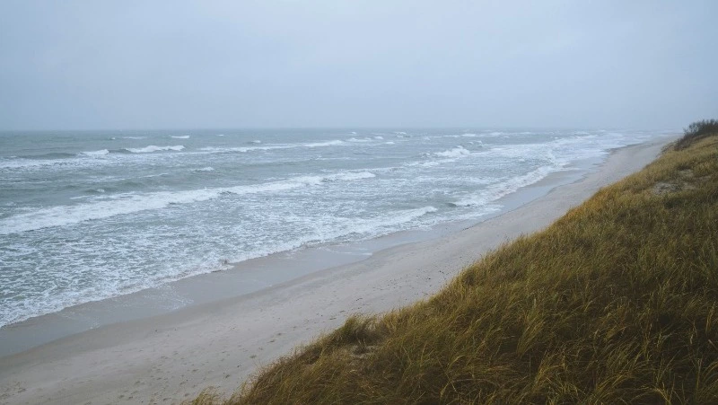 Синоптики прогнозируют дожди и туман в Сахалинской области 26 июня