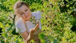 Пора готовиться к зиме