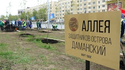 Березовую аллею в память о погибших даманцах посадили в Южно-Сахалинске